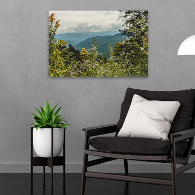 Paysage, nature, plantes, fleurs, fleurs sauvages et montagnes sauvages