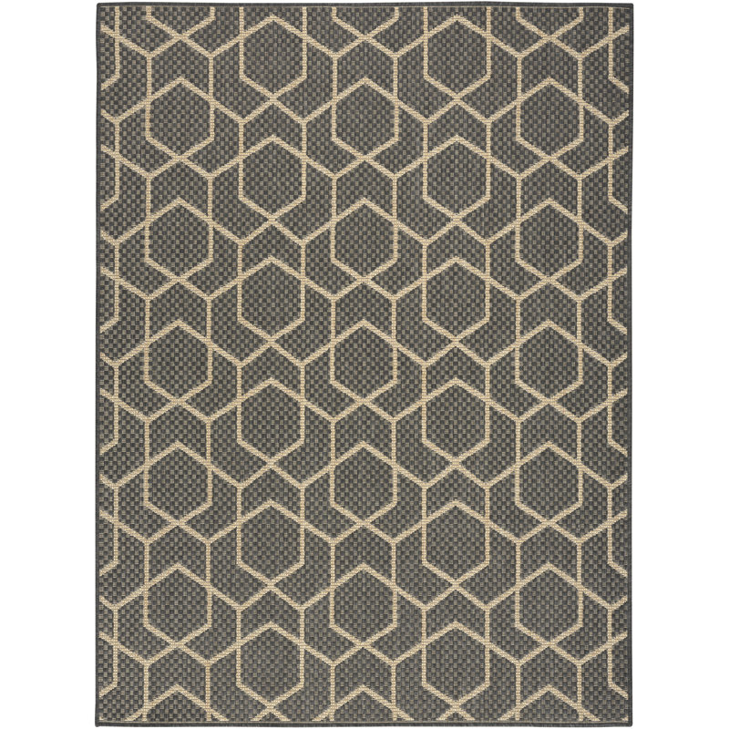 Reidy Modern Indoor/Outdoor Rug, Rectangle 6' x 9', Charcoal