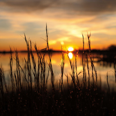 Maryland Sunset II