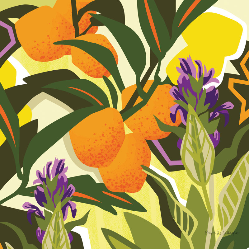 «Citrus Sage II» par Megan Gallagher - reproduction, H 20 po x l 20 po