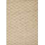 Geometric Area Rug in Beige