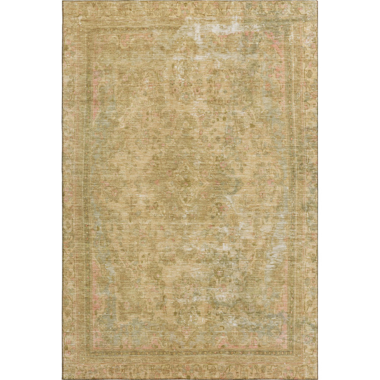 Premium Machine Washable Lampkins AMF1646 Global Rug