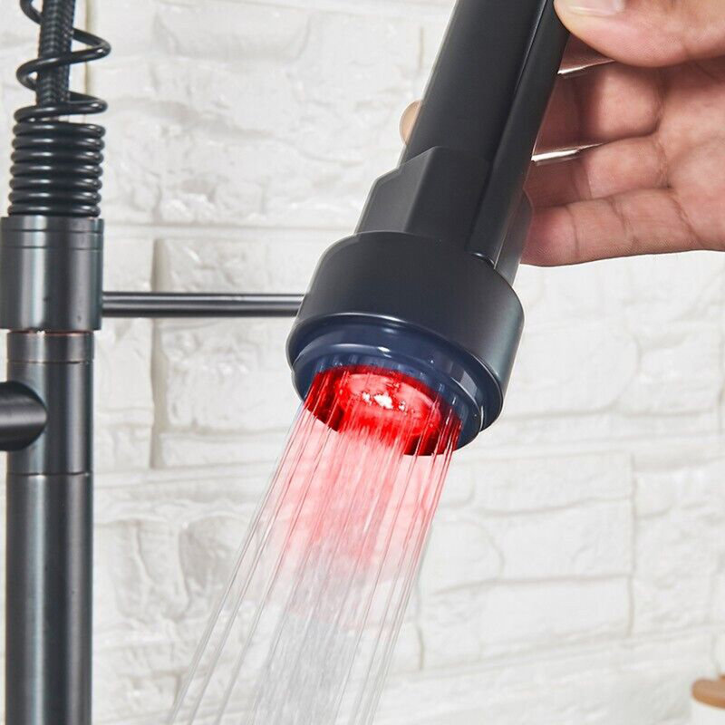 Belfry Kitchen Genevrier Pull Out Kitchen Faucet