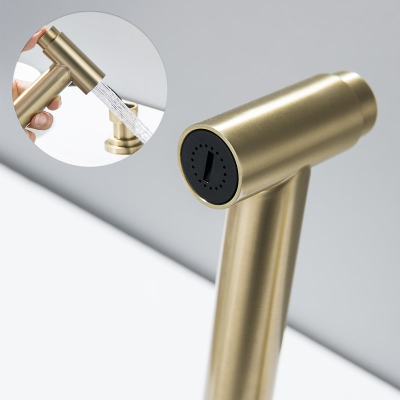 Selected Kitchen Faucet with Side Spray, Brushed Gold