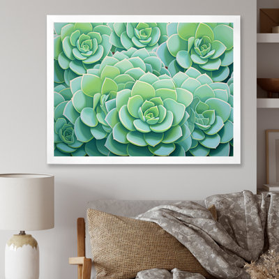 " Green Succulents Bloom "
