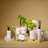5Oz Reed Diffuser-111112907