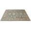 Oriental Area Rug in Light Green