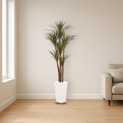 Giant Yucca Artificial Tree in White Planter