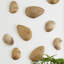 River Stone Wall Décor-50432590-50432589