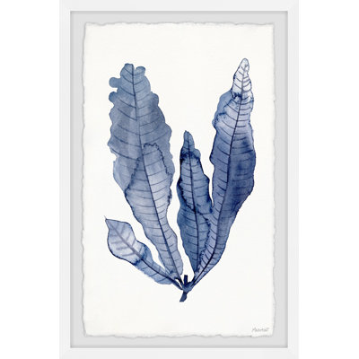 Seaweed Under Water IV by Marmont Hill - Single Picture Frame Painting