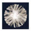 Scent Of Dandelion III Painting by Janice Sadler-26727798-26727802