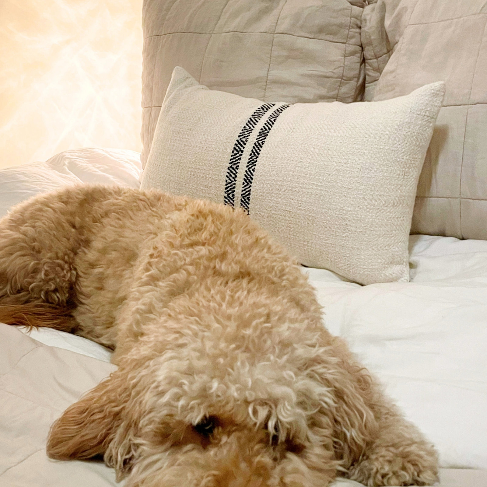 PILLOWPIA Hugh Cotton Lumbar Pillow Cover with Chevron Pattern and Brass Zipper Accent, Cream
