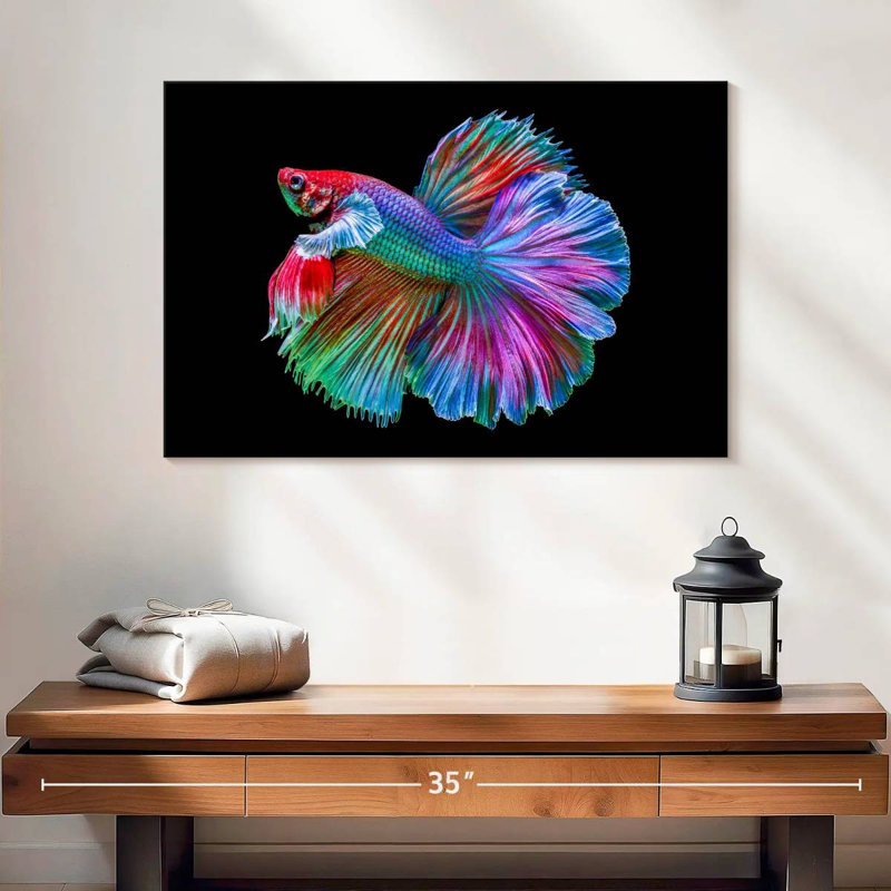 Poisson Betta chromatique, H 16 po x l 24 po