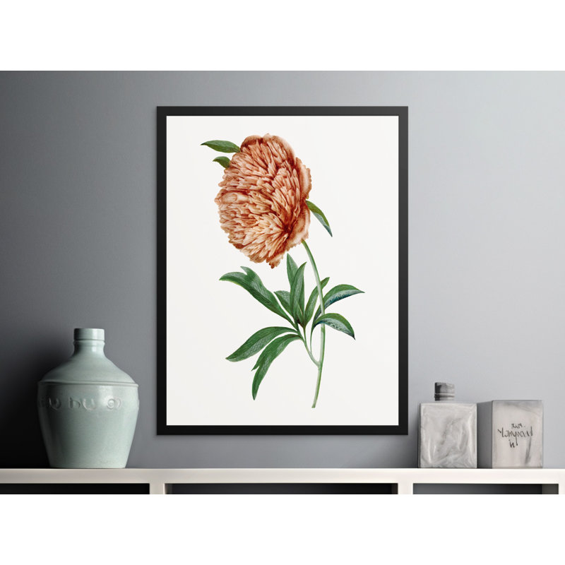 Chalita Single Picture Frame Print, 35.56 cm H x 27.94 cm W