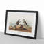 Ring Plover Birds by John Audubon - Picture Frame Painting Print-55598776-55598773