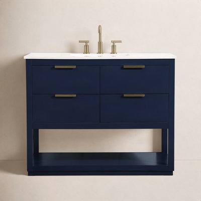 Felicity 42'' Single Bathroom Vanity