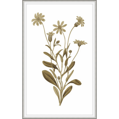 Sweet Preservation 5 Print by Art House Studios