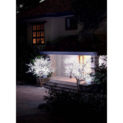 144'' Lighted Trees & Branches