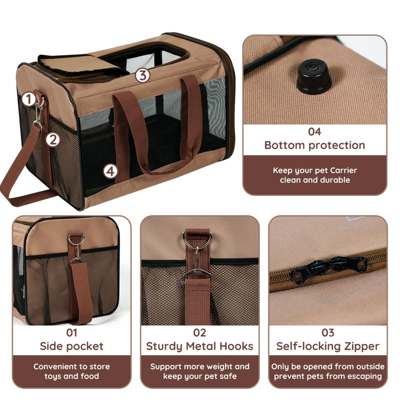 Pet Carrier, Hot Cacao