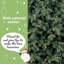 Artificial Christmas Tree-1099355996