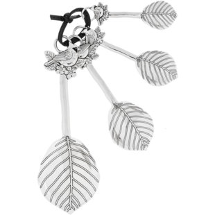 Ganz 4 -Piece Metal Measuring Spoon Set