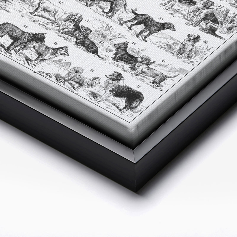 Tableau des races de chiens, Cadre noir, Canevas, H 11 po x l 14 po