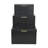Sable Set of 3 Trunks with Gold Handles-2046904637
