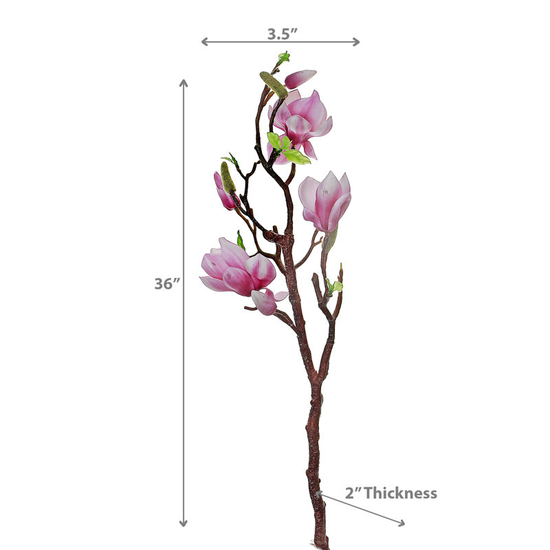 Magnolia grand jet rose, Rose mauve