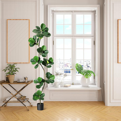 Plant