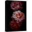 Fleurs de pivoine rose rouge, images florales, photographie, décoration murale de salon-104391742-104391740