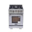 24 in. 2.5 cu. ft. Propane Gas Range and Convection Oven in Stainless Steel with True Simmer Burners-811242988