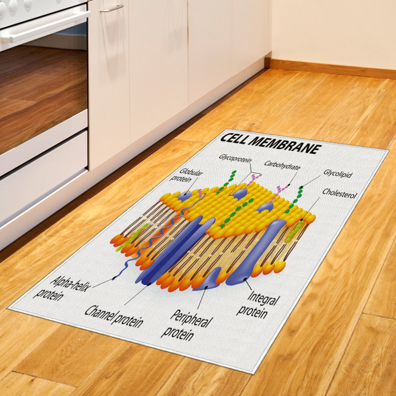 Science High Density Long Fiber Poly Threads Decorative Area Rug Carpet, Rectangle 2'7" x 5'