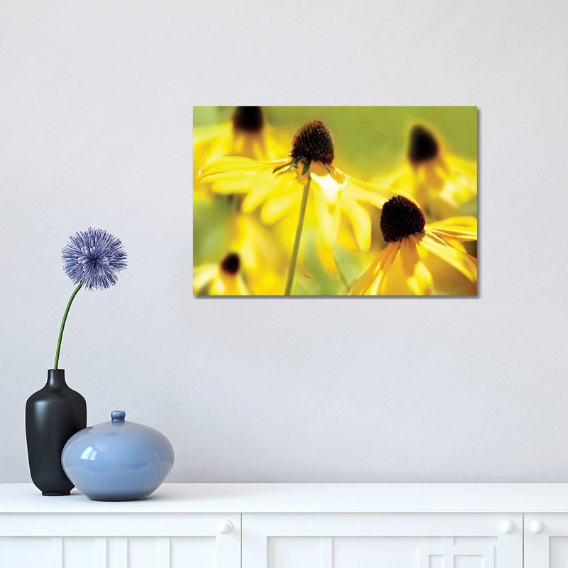 Susan Study II 1 Piece Wrapped Canvas Wall Art, 30.48 cm H x 45.72 cm W