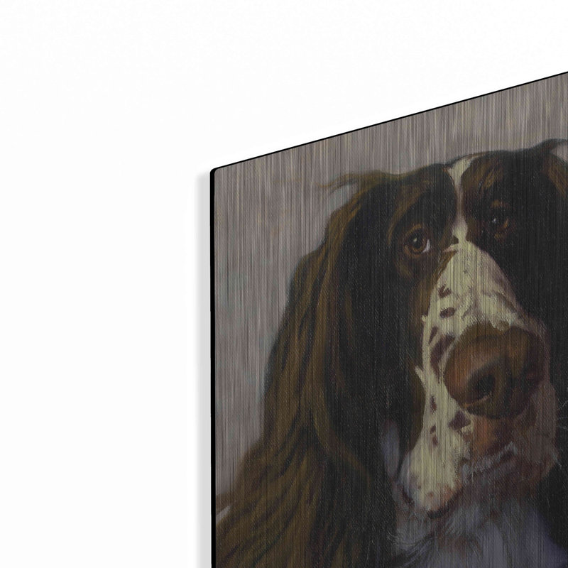 "Springer" par Thomas Fluharty, H 24 po x l 16 po
