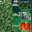 Christmas Tree, Green, High Realism & Easy Decoration, Versatile for Home Christmas Scenarios-13917257-13917255