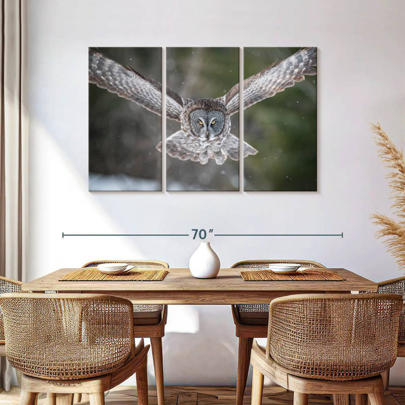 Hibou volant, H 36 po x l 57 po