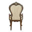 Chaise avec accoudoirs (ensemble de 2)