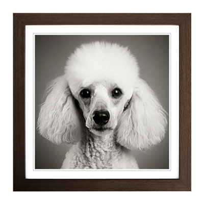 Poodle No.1 - Single Picture Frame Print on Wood