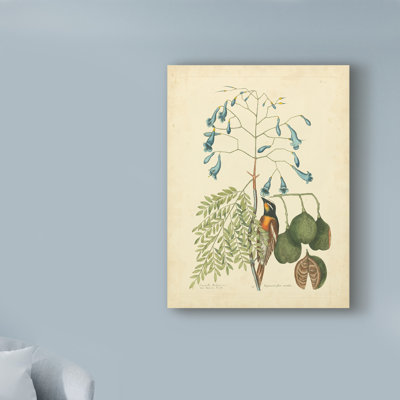 Graphic Art Print