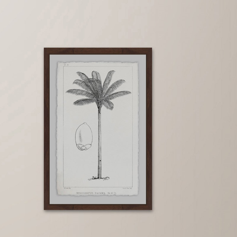 Amazon Palm Tree - Reproduction d'art graphique sur papier encadré, H 18 po x l 12 po
