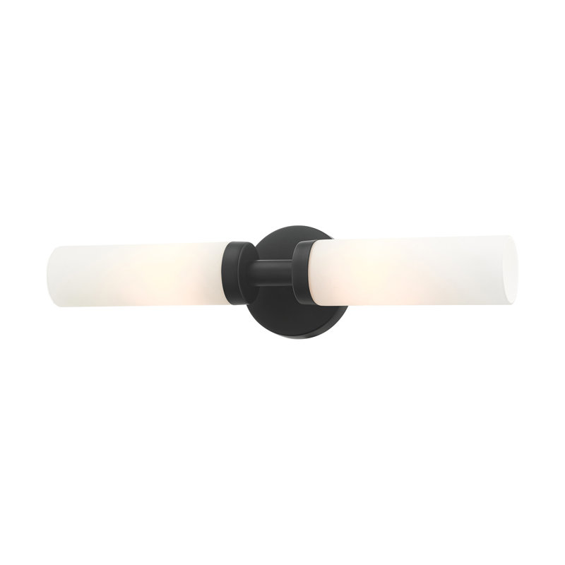 Charlesha 2-Light Dimmable Bath Bar, Black