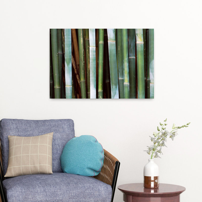 Gros plan sur des bambous, art contemporain de paysage de forêt de bambou, H 16 po x l 24 po