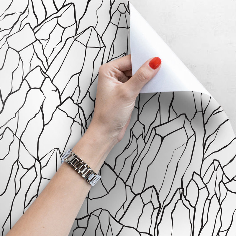 Aneyda Matte Peel & Stick Mural, 152 x 104cm