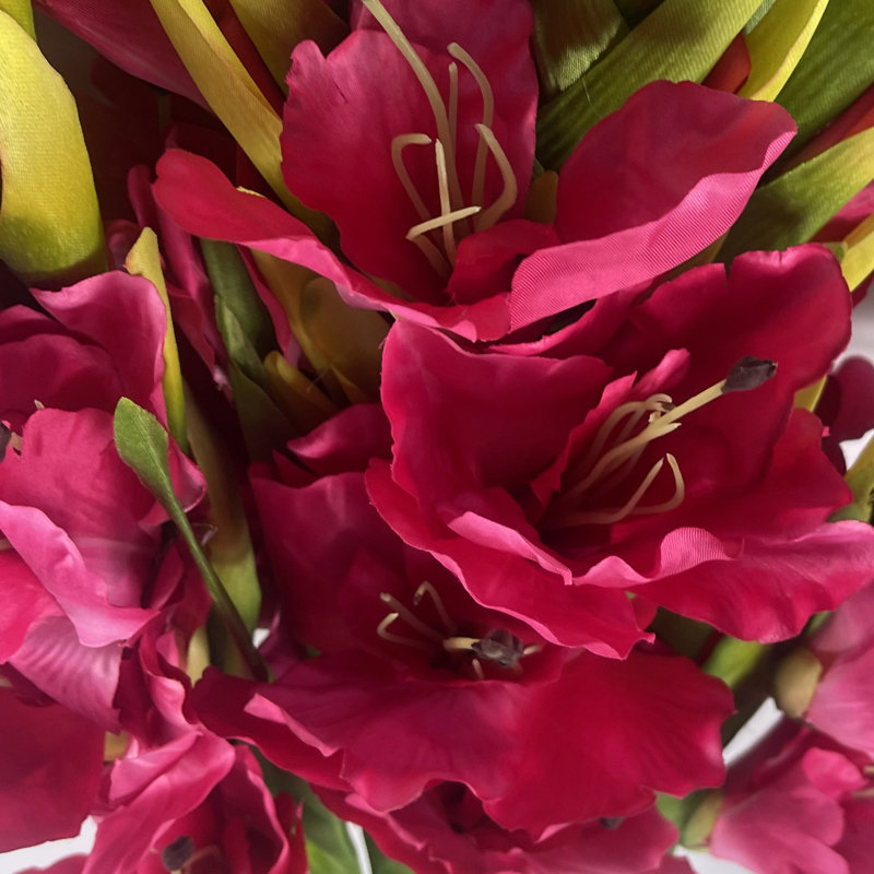 Aneris Arrangement