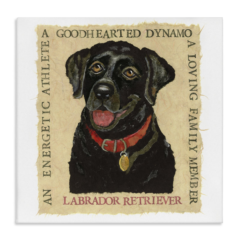 Art mural sur toile amusant "Labrador noir" par Nancy Overton, H 24 po x l 24 po