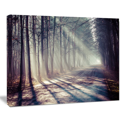 «Morning Sunbeam to Forest Road», reproduction de photo sur toile tendue