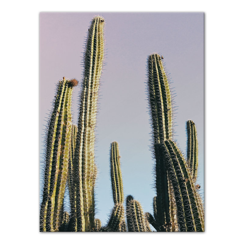 Grand cactus sur toile, H 16 po x l 12 po x P 1,25 po, Toile tendue