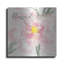 Winston Porter 'Floral Blessed' by Cindy Jacobs, Metal Wall Art-12896264