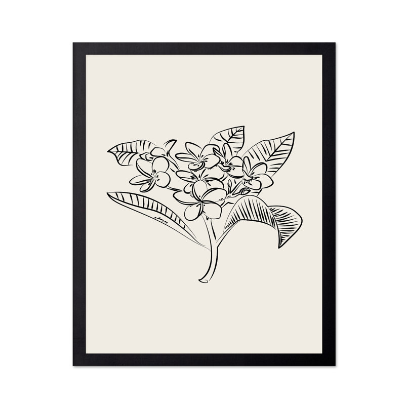 Croquis de fleur de plumeria, Cadre noir, Affiche, H 24 po x l 32 po