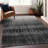 Machine Washable Indoor/Outdoor Chayden ACN1064 Rug-109486464